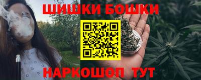 сатива Бузулук