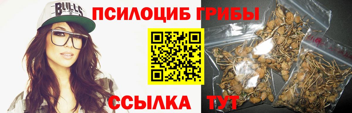 Псилоцибиновые грибы Psilocybine cubensis  Вход с VPN  Маркс 
