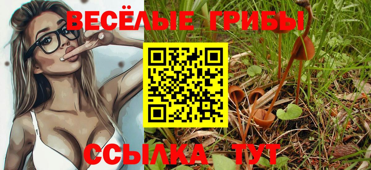 Галлюциногенные грибы мухоморы Маркс